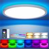 Aphyni Plafoniera LED Soffitto Moderna,24W Ø30cm RGB Rotonda Lampadario Soggiorno,Dimmerabile Con Telecomando 3000-6500K Lampadario LED,adatta per Camera da letto,Soggiorno, Sala giochi