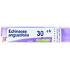 BOIRON SRL ECHINACEA ANGUSTIFOLIA 30 CH GRANULI 4G