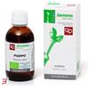 FITOMEDICAL Srl PIOPPO MACERATO GLICERICO 50 ML BIO