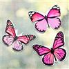 Fiada 6 Pezzi di Adesivi Magnetici a Farfalla per Porte a Zanzariera a Doppio Lato Magneti Flessibili Decorativi Multicolori per Zanzariera Magnetica Frigorifero e Porte Scorrevoli(Rosa,Stile dolce)