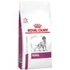ROYAL CANIN Dog renal 2 kg