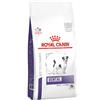 ROYAL CANIN Small Dog dental 1,5 kg