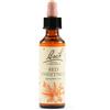 SCHWABE PHARMA ITALIA SRL RED CHESTNUT BACH ORIG 20ML