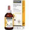 ERBA VITA GROUP SPA PROPOLI EVSP EI NO ALCOL 30ML