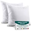 Flowen Federe Cuscini Divano 30x30 Set da 2 Copricuscini in Microfibra Fodere Lavabili e Resistenti 30 x 30 cm Tessuto 100% Poliestere Traspirante Anallergico Antiacaro Ideali per Arredo Casa