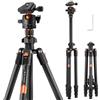 K&F CONCEPT Treppiede Fotocamera in Carbonio, Cavalletto Fotografico (K254C2+BH-36L, 162cm/8kg/Carbonio)