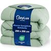 CozyLux Piumone Una Piazza e Mezza 200x200 cm per 4 Stagioni, Piumone Letto in Microfibra 300 g/m², Trapunta Invernale, Morbido, Caldo e Traspirante, Lavabile in Lavatrice, 200x200, Verde salvia