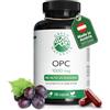 Green Naturals OPC Semi d'Uva 1.250 mg - di cui 1.000 mg OPC - 180 capsule | Estratto standardizzato · 100% vegetale · Senza additivi · Prodotto in Austria