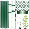 ShengBiLong Bastoncini per Orchidee, 20 Pezzi Tutori per Piante, Viene Fornito con 20 Moschettoni con 10 Tubi di Srolunga, Sostegno per Piante, Bastoncini per Vasi, Tutori Orchidee (90 PCS)