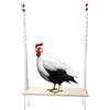 Beelooom Altalena giocattolo per pollaio grande, giocattolo per arricchire galline e galli, accessori per pollaio in legno