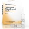 GUNA SPA HEEL COENZYME COMPOSTO 10 FIALE DA 2,2 ML L'UNA