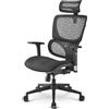 Sharkoon Sedia Gaming/Office Sharkoon OfficePal C30