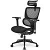 Sharkoon Sedia Gaming/Office Sharkoon OfficePal C40