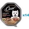 CESAR in vaschetta 14x150g Alimento umido completo in salsa con manzo, tacchino ed erbe aromatiche per cani adulti