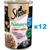 SHEBA Nature's Collection con salmone guarnito con patata dolce e fagiolini in salsa 12x400g