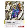 ZANICHELLI EDITORE Capire la Terra. Con aggiornamento online