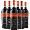 Villa Matilde Avallone Falerno del Massico Rosso 2020 Box da 6 bottiglie