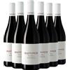 Bastianich Refosco dal Peduncolo Rosso 2023 Box da 6 bottiglie