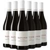 Bastianich Schioppettino 2022 Box da 6 bottiglie