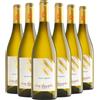 Conte Brandolini d'Adda Pinot Grigio Friuli Grave DOC 2023 Box da 6 bottiglie