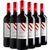 Conte Brandolini d'Adda Refosco dal Peduncolo Rosso 2020 Box da 6 bottiglie