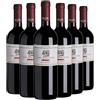 Rinaldini Vigna del Picchio Rosso dell'Emilia 2020 Box da 6 bottiglie