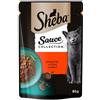SHEBA Sauce Collection in bustina 85g alimento umido completo per gatti adulti bocconcini con manzo in salsa