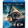Splendid Film/WVG Into The Deep