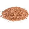 Noccioli di Ciliegia 750gr