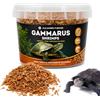 ALEJANDRO FUENTES AF® Gamberetti per Tartarughe d'Acqua 75g, 750ml Gammarus per Tartarughe d'Acqua +56% Proteine, Snack Naturale Riduce Odori, Mangime Tartarughe Acqua con Shrimps, Freschezza con Zip
