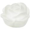 HERVIT Rosa Con Luce Led Bianca