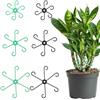 Tyqour 6 supporti per steli per piante, pali per piante da interno, supporti per piante da interno, supporti per piante, riutilizzabili, per giardinaggio (verde e nero)