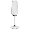 Villeroy & Boch Purismo Specials Calice da Champagne, 270 ml, Cristallo, Trasparente