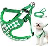 Cawjug Pettorina Cane Taglia Piccola, Step-in Pettorina Anti-tiro per Cuccioli Gatti con Guinzaglio, Regolabile Riflettente Traspirante Imbracatura Cane Morbida per Passeggiate Corsa (Verde M)