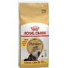 Royal Canin Breed Royal Canin Persian Adult Crocchette per gatto - 10 kg + 2 kg GRATIS!