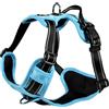 Bobby Rando Walk - Pettorina per cani Taglia XS, in Nylon Riflettente, Fibbie Regolabili a Chiusura Sicura, Facile da Indossare, Blu Girocollo 20-32 cm, Giropetto 36-43 cm