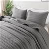 R.SHARE Copriletto Matrimoniale Estivo 300 × 270 cm, Grigio Trapunta Matrimoniale Primaverile, 100% Microfibra Trapuntato, Coperta Divano Giorno Ultra Morbida, Copriletto Letto Multiuso-OEKO TEX