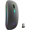 Ewent Mouse Wireless Ricaricabile con Luci RGB | Bluetooth 5.2 & 2.4 GHz | DPI Regolabile (800/1200/1600) | Pulsanti Silenziosi | Compatibile con Windows, Mac, iOS, Android