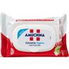 Amuchina XGerm Salviette Disinfettanti Mani, 20 salviettine
