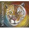 Troubador Publishing Phantasmagorical Terry McManus