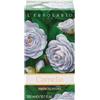 Camelia L'erbolario Camelia Bagnoschiuma 300 Ml ml Schiuma da bagno