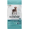 Schesir Large Puppy con Pollo - 12 kg