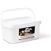 NBF Lanes | Artikrill Horse Adulti - Supporto Articolare per Cavalli Adulti con Omega-3 e Condroitina