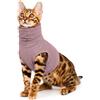 PUMYPOREITY Cane Snood Viola XS, Cotone, Collo e Orecchie