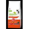 Altro Natural Trainer Cane MEDIUM ADULT MANZO E RISO 12KG