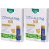 ESI Srl ESI Biocollagenix Forte Flaconcini Gusto Mango Set da 2 2x300 ml Soluzione orale
