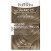 ZETA FARMACEUTICI SpA EUPH COLORPRO XD 707 BIOND