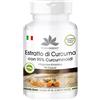 herba direkt Curcumina 500mg plus 95% e piperina - BioPerine® - Sostanza pura - 90 capsule | HERBADIREKT by Warnke Vitalstoffe - Qualità da farmacia tedesca