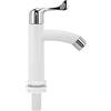 Glomora Rubinetto Moderno per Lavandino del Bagno, Cucina Singolo Rubinetto Acqua Fredda, G1/2inch Rubinetto di Acqua Fredda, Plastica ABS Monocomando Controllo Rubinetto Dritto per Lavello Cucina Bagno