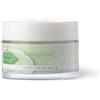 Bottega Verde, Aloe - Crema viso 24 ore - idratante, lenitiva, illuminante - con 30% succo di Aloe* bio (50 ml) per tutti i tipi di pelle